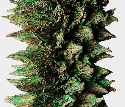 Luis Matías Santos: Unfolding Sculptures
